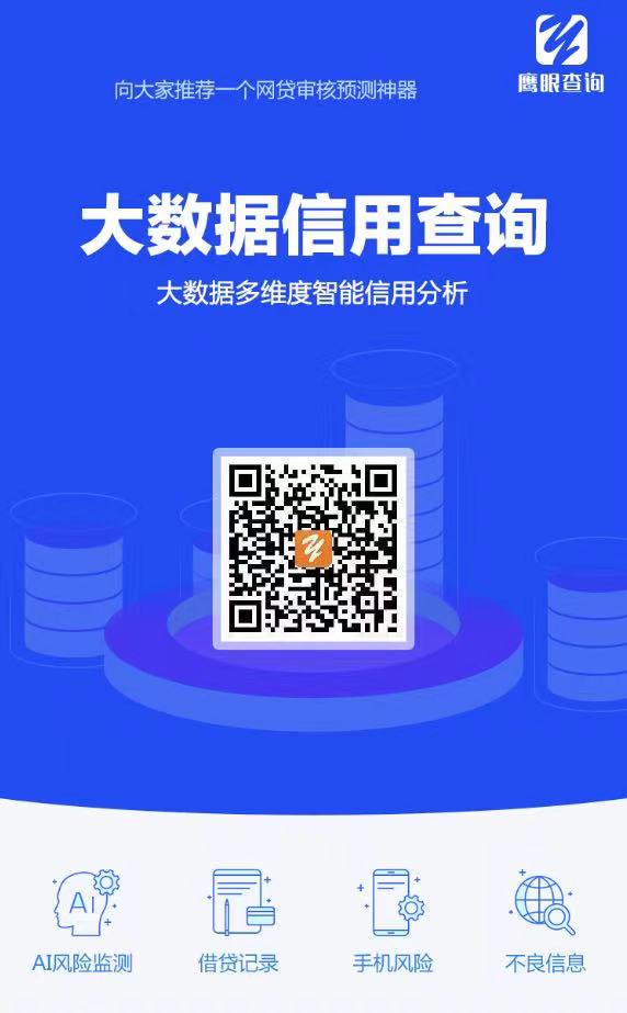 鹰眼大数据风险报告查询
